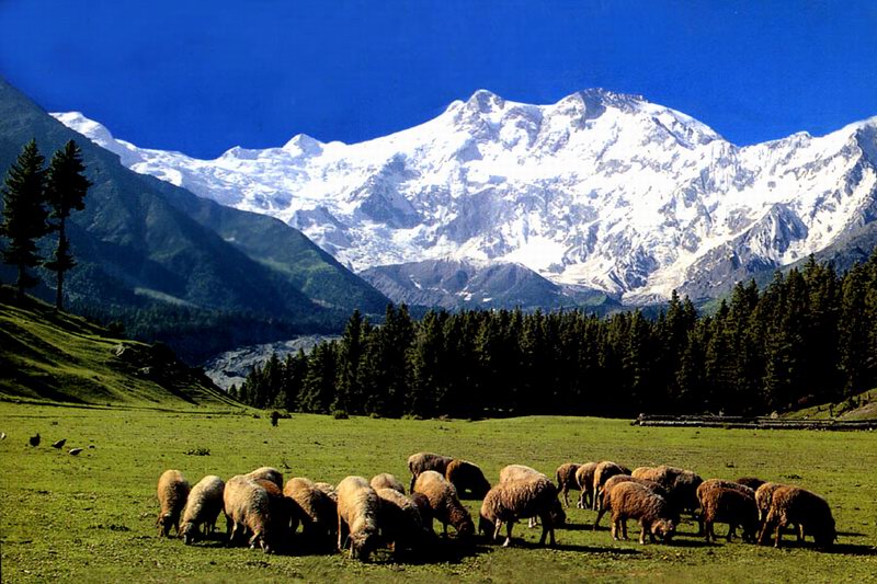 Nanga Parbat & Himalayan Giants